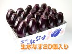画像1: 泉州水なす２０個入り (1)