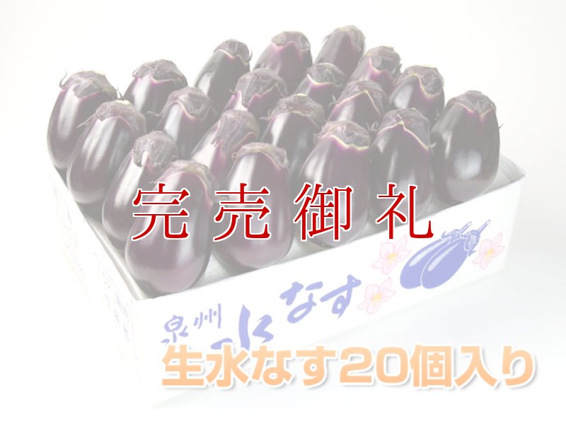 画像1: 泉州水なす２０個 (1)
