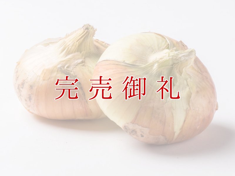 画像2: 【ご予約商品5/1以降順次発送】大阪泉州貝塚早生玉ねぎ５ｋｇ (2)