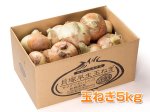 画像1: 【ご予約商品5/1以降順次発送】大阪泉州貝塚早生玉ねぎ５ｋｇ (1)