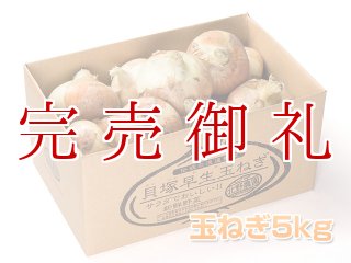 産地直送鮮度！幻の貝塚早生玉ねぎの販売ページです。