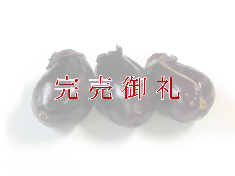 画像3: ワケあり水なす20個入り (3)