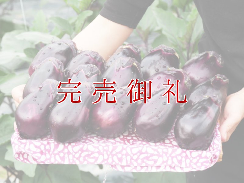 画像4: ワケあり水なす１５個入り (4)