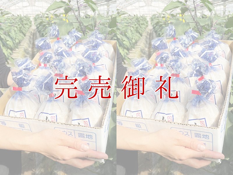 画像1: 水なすぬか漬１３個＋丸漬塩味１３個 (1)