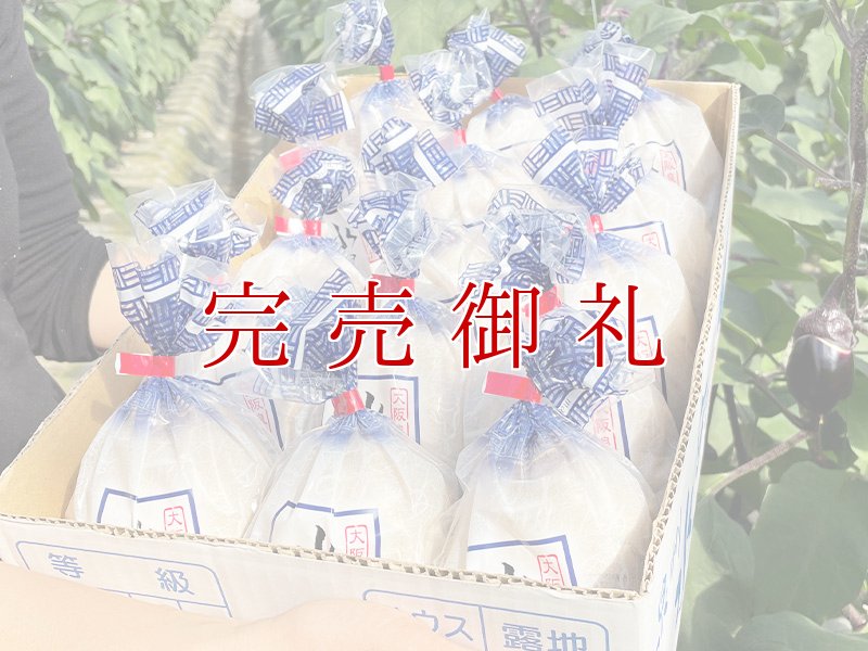 画像1: 水なすぬか漬１５個 (1)