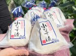 画像3: 貝塚澤なす３個＋泉州水なすぬか漬３個 (3)