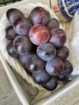 画像3: 【期間限定】泉州パープル１房と泉州水なすぬか漬３つ※送料込 (3)