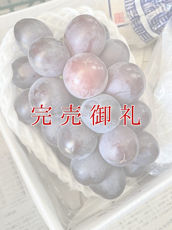 画像3: 【期間限定】泉州パープル１房と泉州水なすぬか漬３つ※送料込 (3)