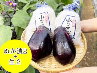 3000円〜3999円 - 泉州水なす・貝塚澤なすの北野農園