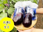 画像1: 水なす丸漬酸味２個＋生水なす２個 (1)