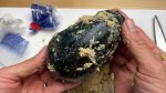 画像6: 貝塚澤なす３個＋泉州水なすぬか漬３個 (6)