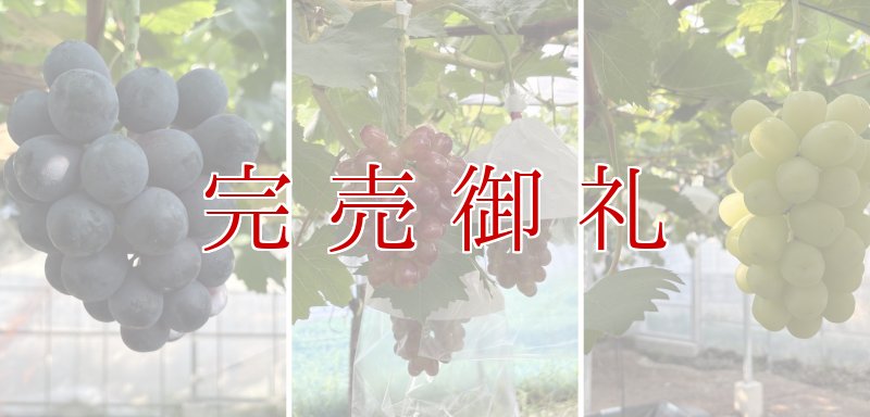 画像1: 泉州ぶどう 3種食べくらべセット (1)