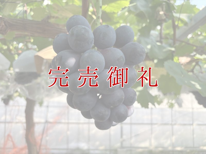 画像2: 泉州ぶどう 3種食べくらべセット (2)