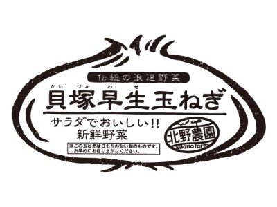 画像1: 【ご予約商品5/1以降発送】貝塚早生玉ねぎ１０ｋｇ