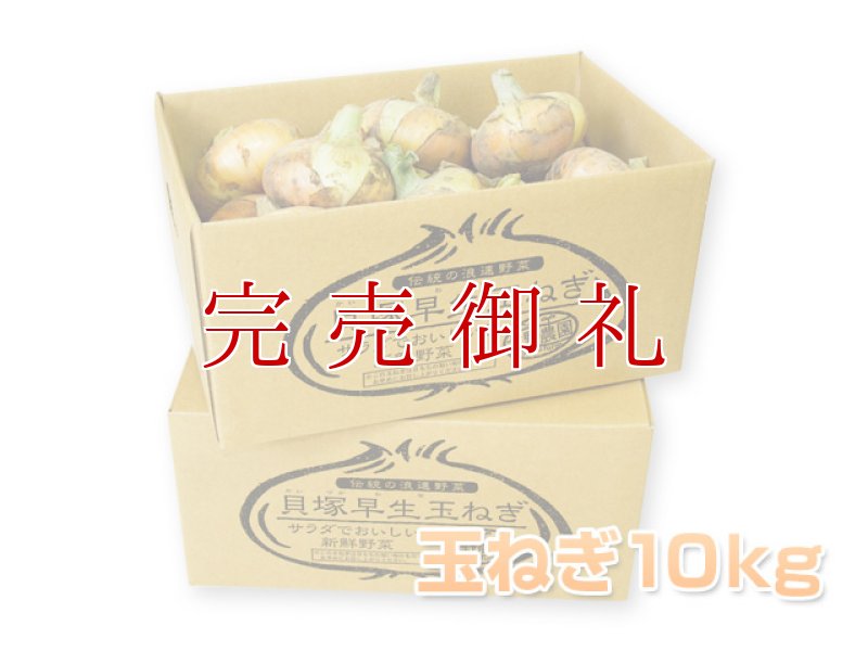 画像1: 【ご予約商品5/1以降発送】貝塚早生玉ねぎ１０ｋｇ (1)