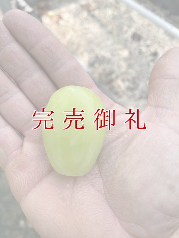 画像3: 【期間限定】泉州マスカット(雄宝500g〜)１房と泉州水なすぬか漬３つ※送料込 (3)