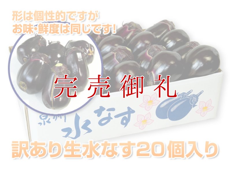 画像2: ワケあり水なす20個入り (2)