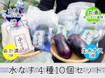 画像1: 水なす４種１０個セット (1)