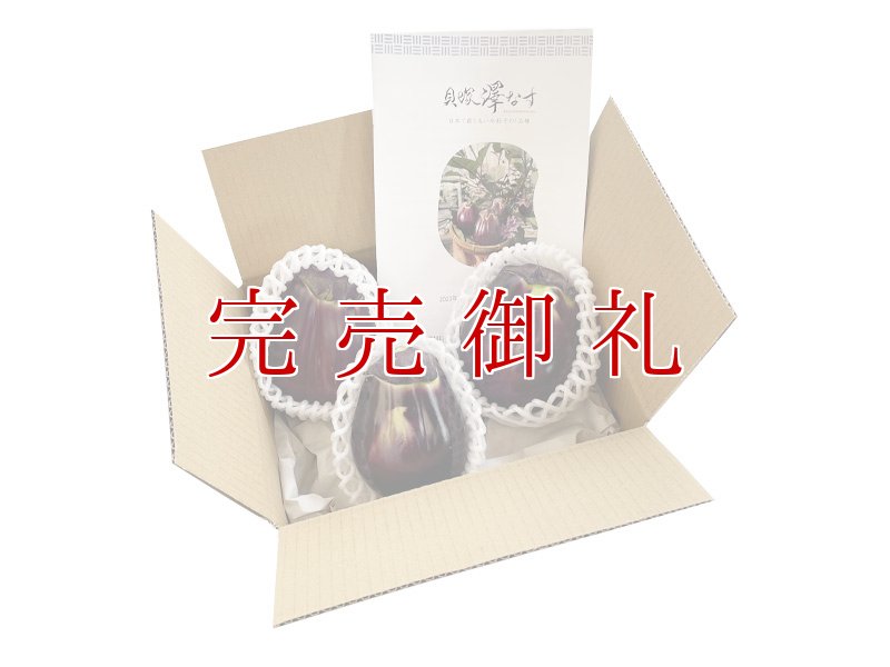 画像2: 貝塚澤なす　生果３個入り (2)