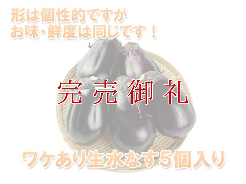 画像2: ワケあり水なす５個入り (2)