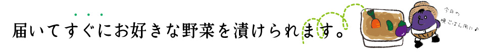 すぐに漬けられます