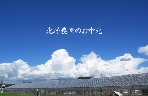 北野農園のお中元