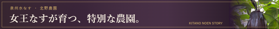 女王水なすについて