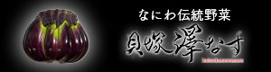 澤なす