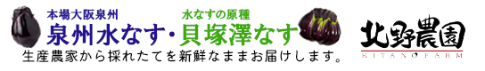 泉州水なす・貝塚澤なすの北野農園