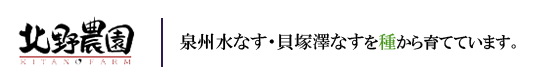 泉州水なす・貝塚澤なすの北野農園