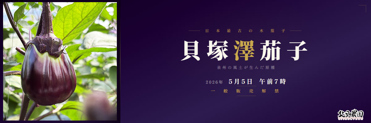 貝塚澤茄子 2026年5月5日一般販売解禁 日本最古の水茄子 北野農園