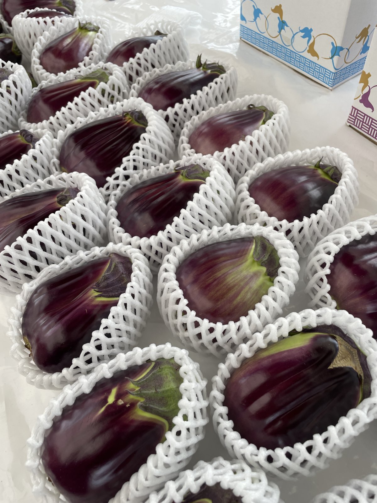 貝塚澤なすの出荷風景