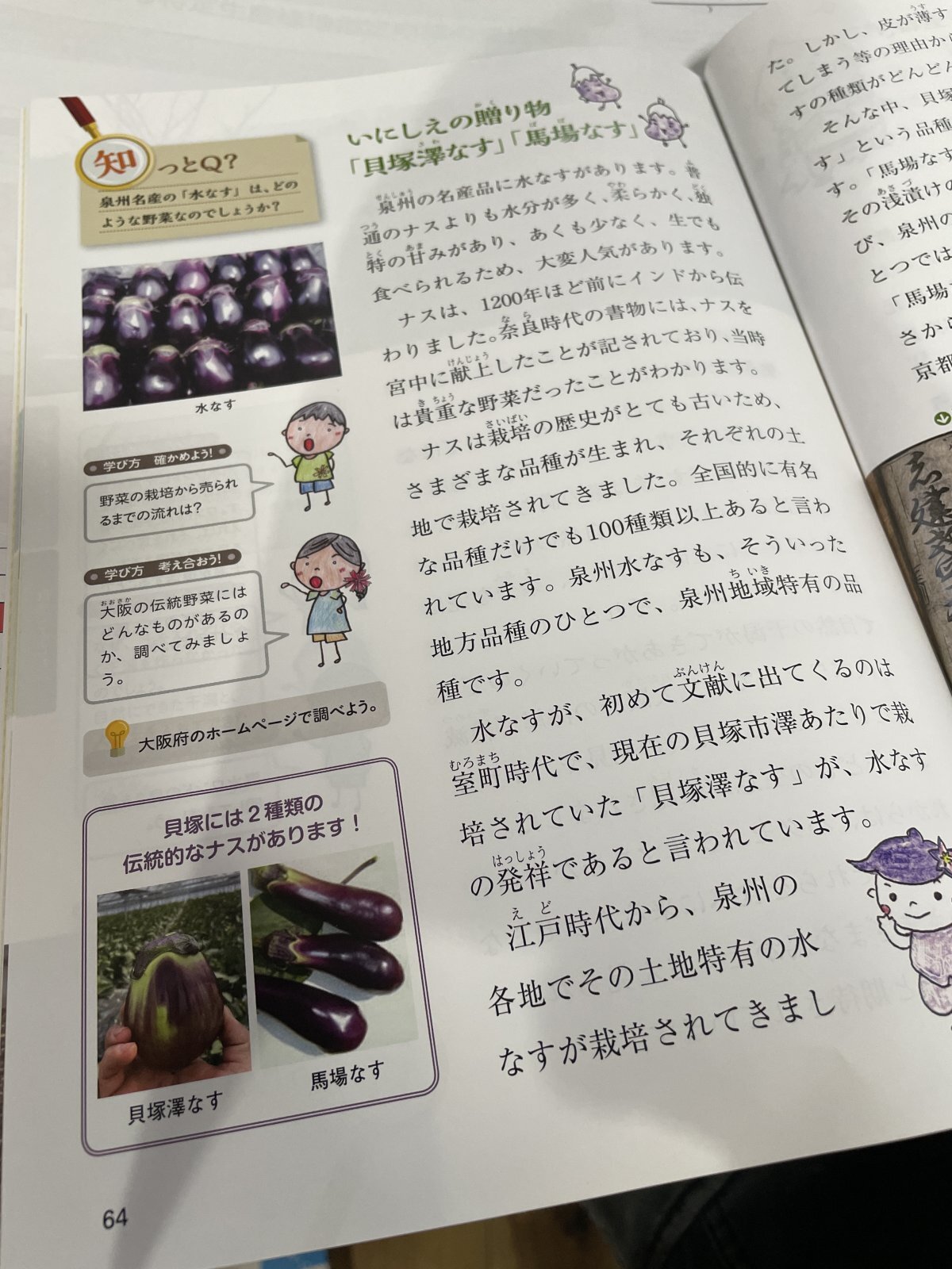 地元小学校の教科書にも掲載された泉州水なす