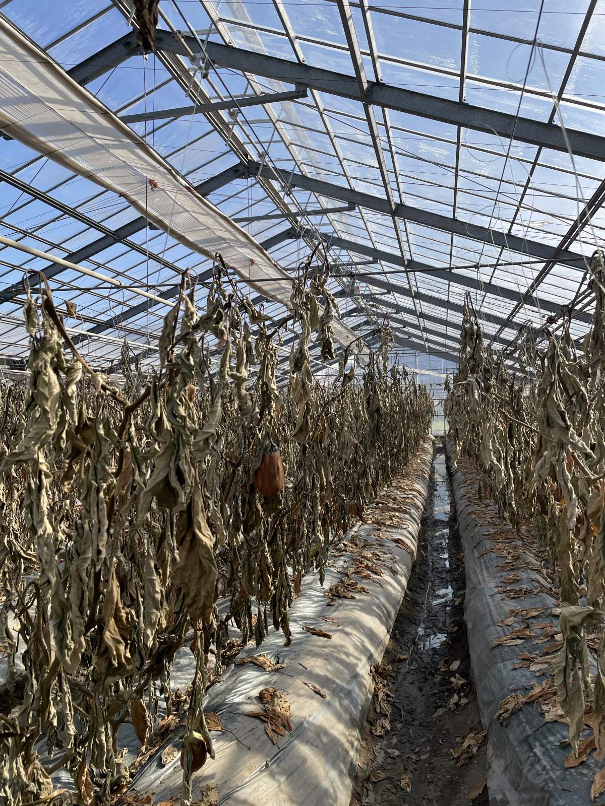 シーズン終了後も感謝の気持ちを持って最後まで丁寧に