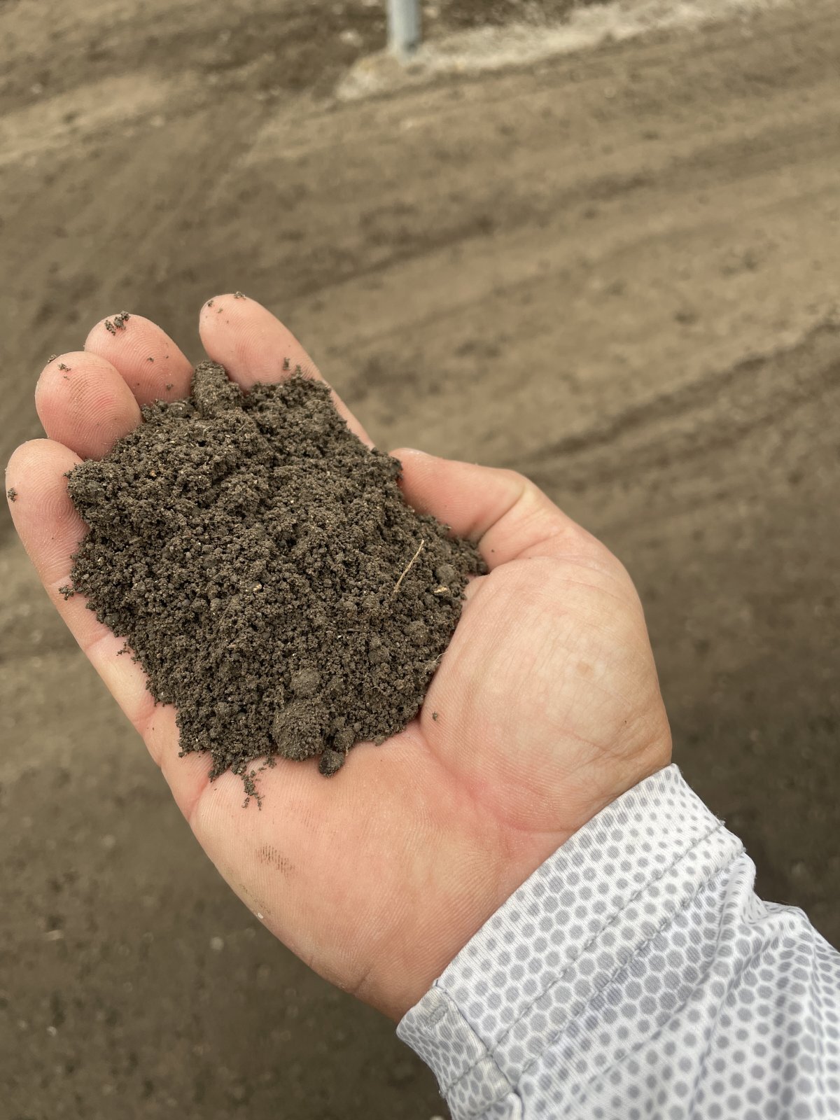 全国的にも珍しい泉州水なすに適した土壌