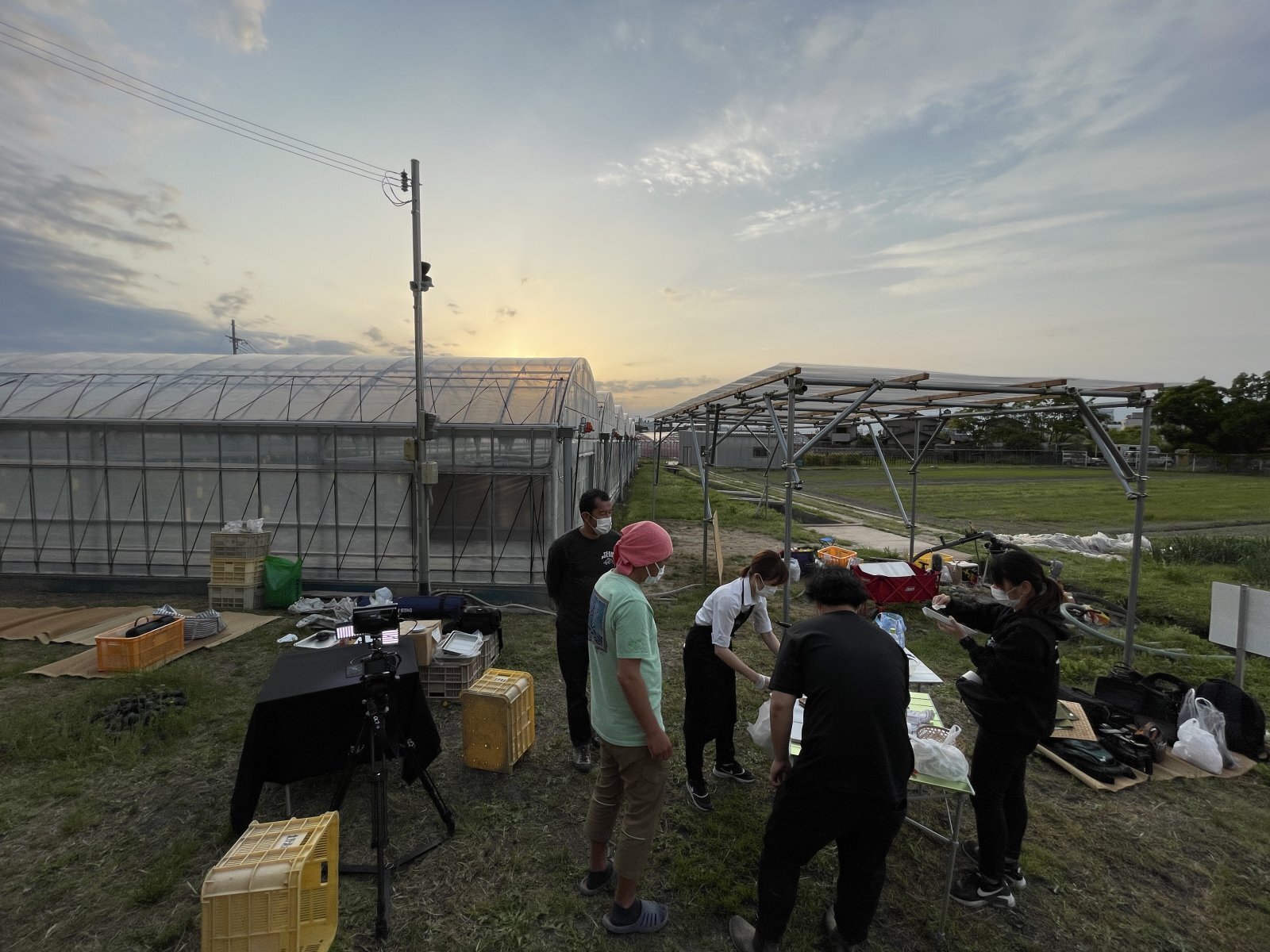夕焼けの農園で撮影準備をするスタッフたち