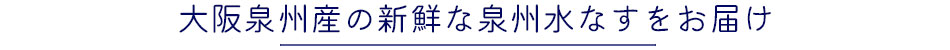 水ナスの詳細情報