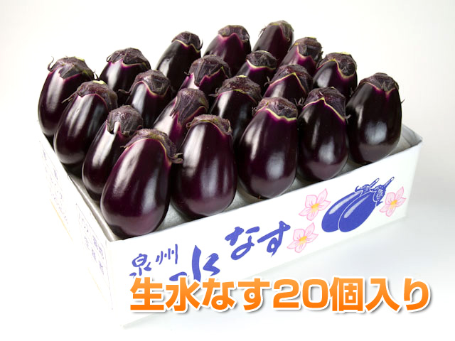 泉州水なす２０個入り
