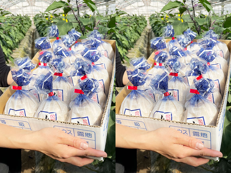 水なすぬか漬３０個