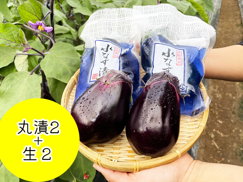 水なす丸漬酸味２個＋生水なす２個