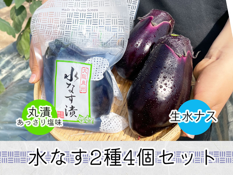 水なす丸漬塩味２個＋生水なす２個