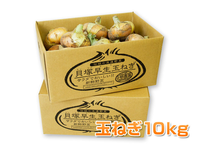 【ご予約商品5/1以降発送】貝塚早生玉ねぎ１０ｋｇ