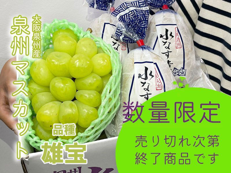 【期間限定】泉州マスカット(雄宝500g〜)１房と泉州水なすぬか漬３つ※送料込
