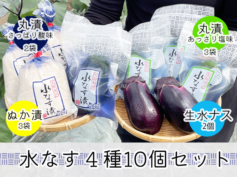 水なす４種１０個セット
