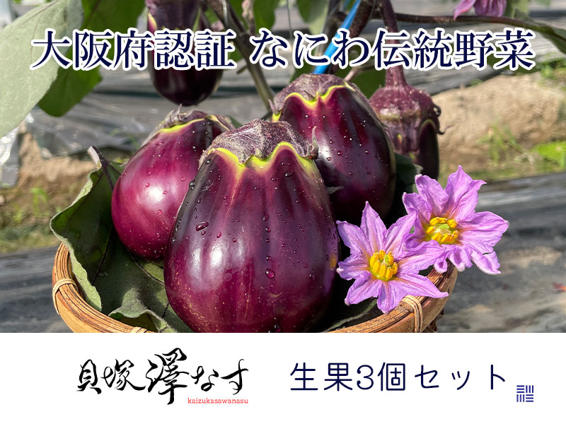 貝塚澤なす　生果３個入り